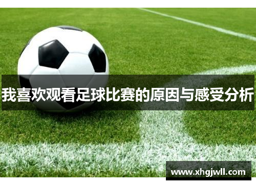 我喜欢观看足球比赛的原因与感受分析